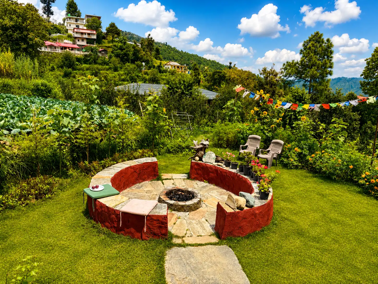 Secinic View